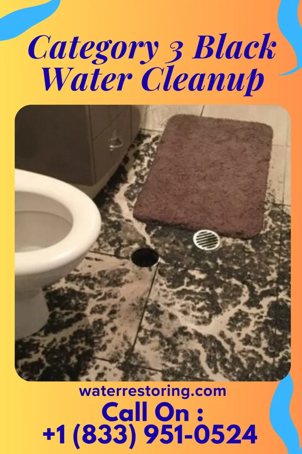 Category 3 Black Water Cleanup in Camden, TN