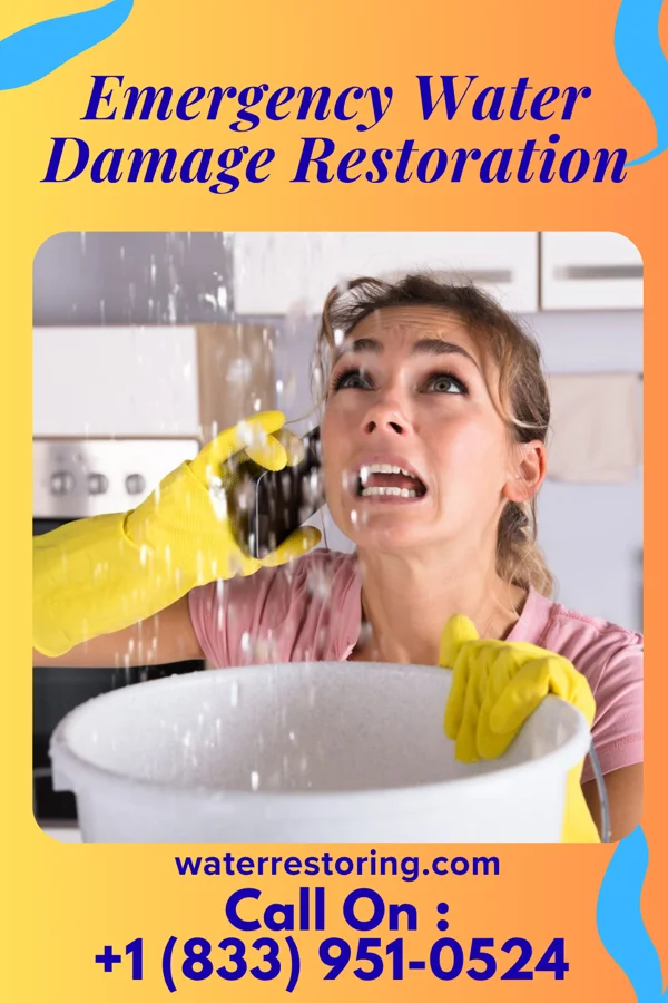 Emergency Water Damage Restoration in Camden, TN