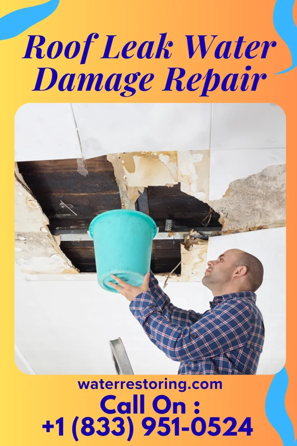 Roof Leak Water Damage Repair in Camden, TN