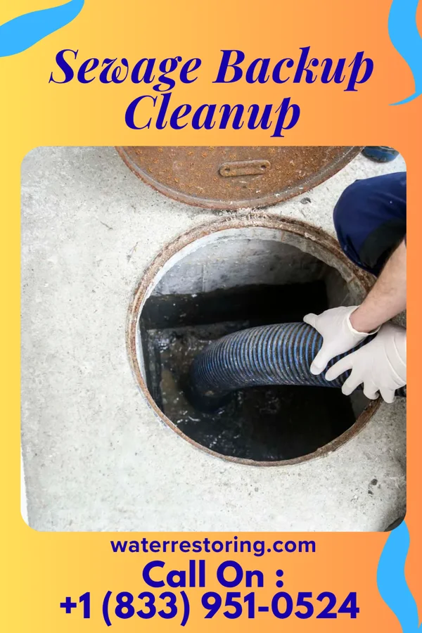 Sewage Backup Cleanup in Camden, TN