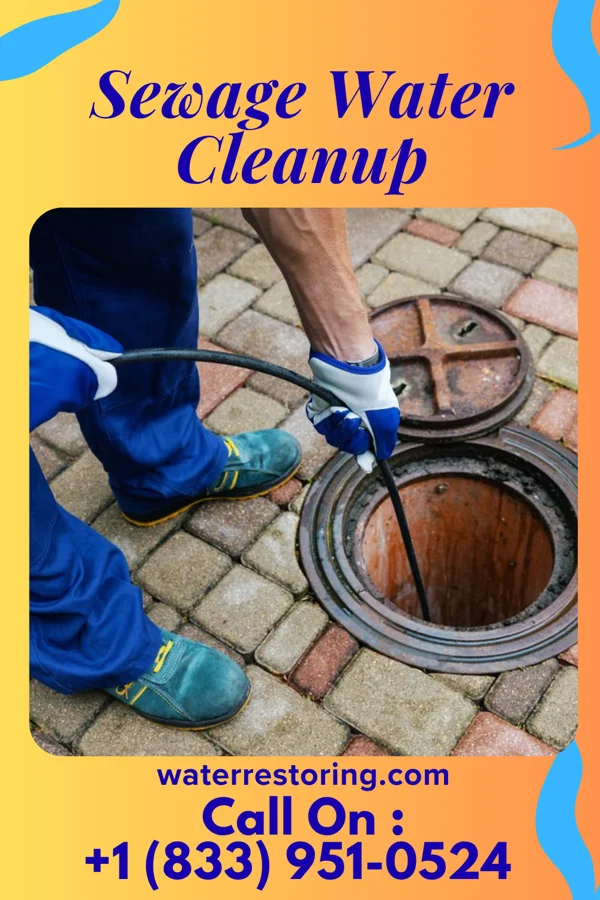 Sewage Water Cleanup in Camden, TN