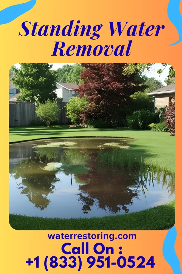 Standing Water Removal in Camden, TN